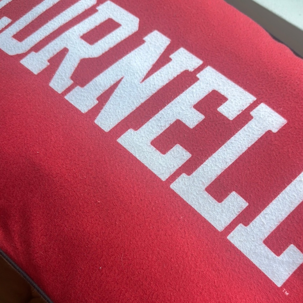 Cornell University Red Pillow - Picture 2 of 4